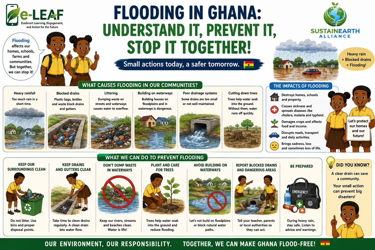 Ghana Flood Safety Infographic